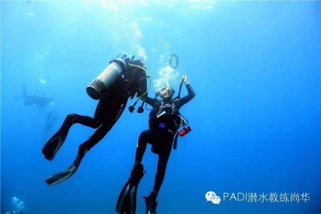 巫师之徒